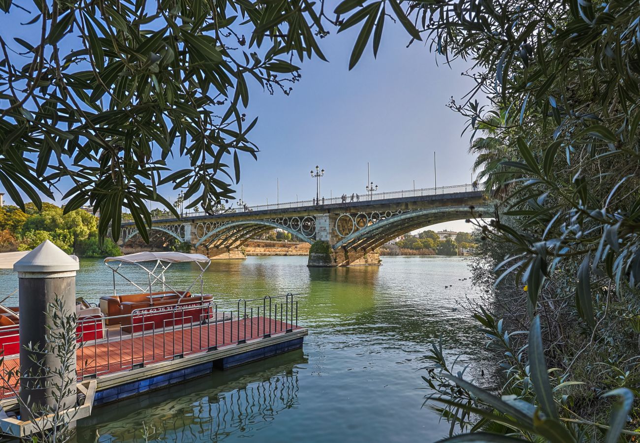 Apartment in Seville - Castilla 12 - Vacacional Sevilla