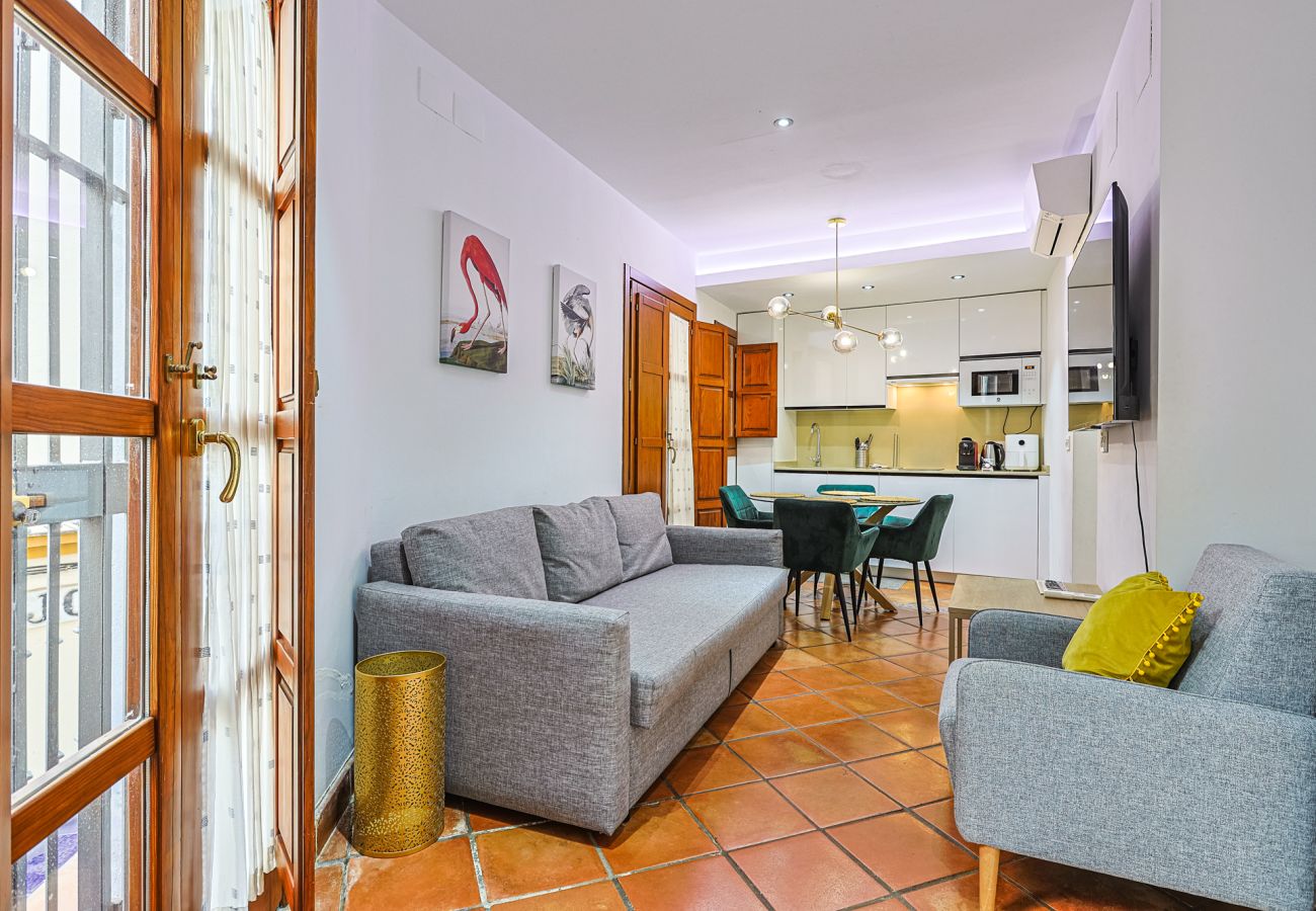 Apartment in Seville - Las Setas boutique - Vacacional Sevilla