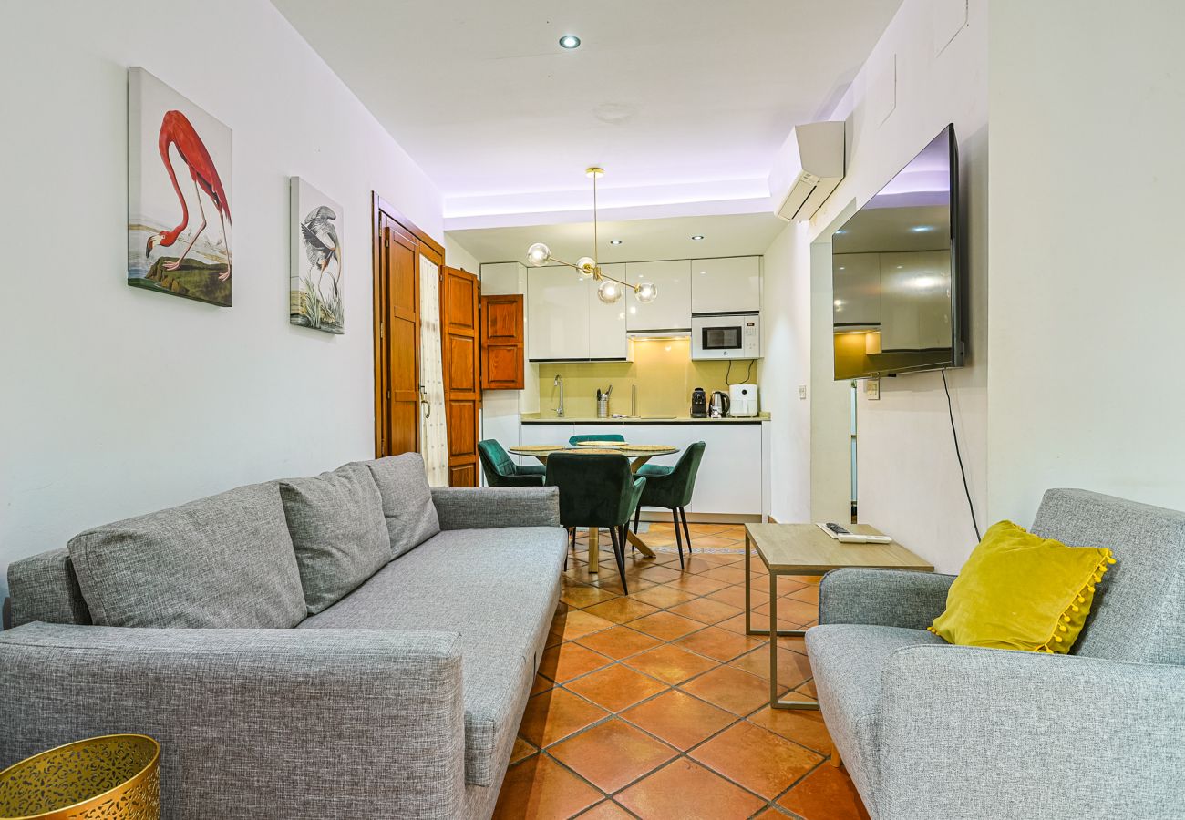 Apartment in Seville - Las Setas boutique - Vacacional Sevilla
