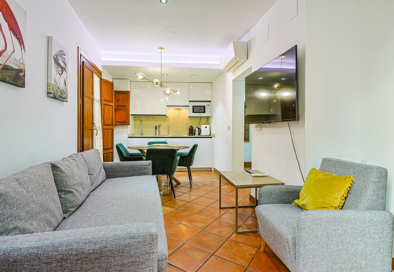 Apartment in Seville - Las Setas boutique - Vacacional Sevilla