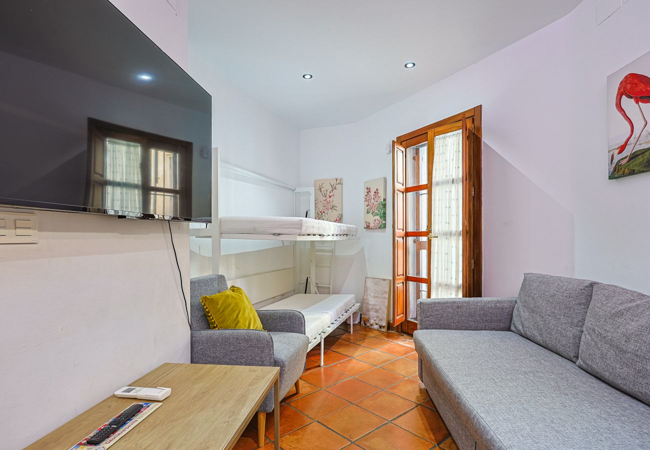 Apartment in Seville - Las Setas boutique - Vacacional Sevilla