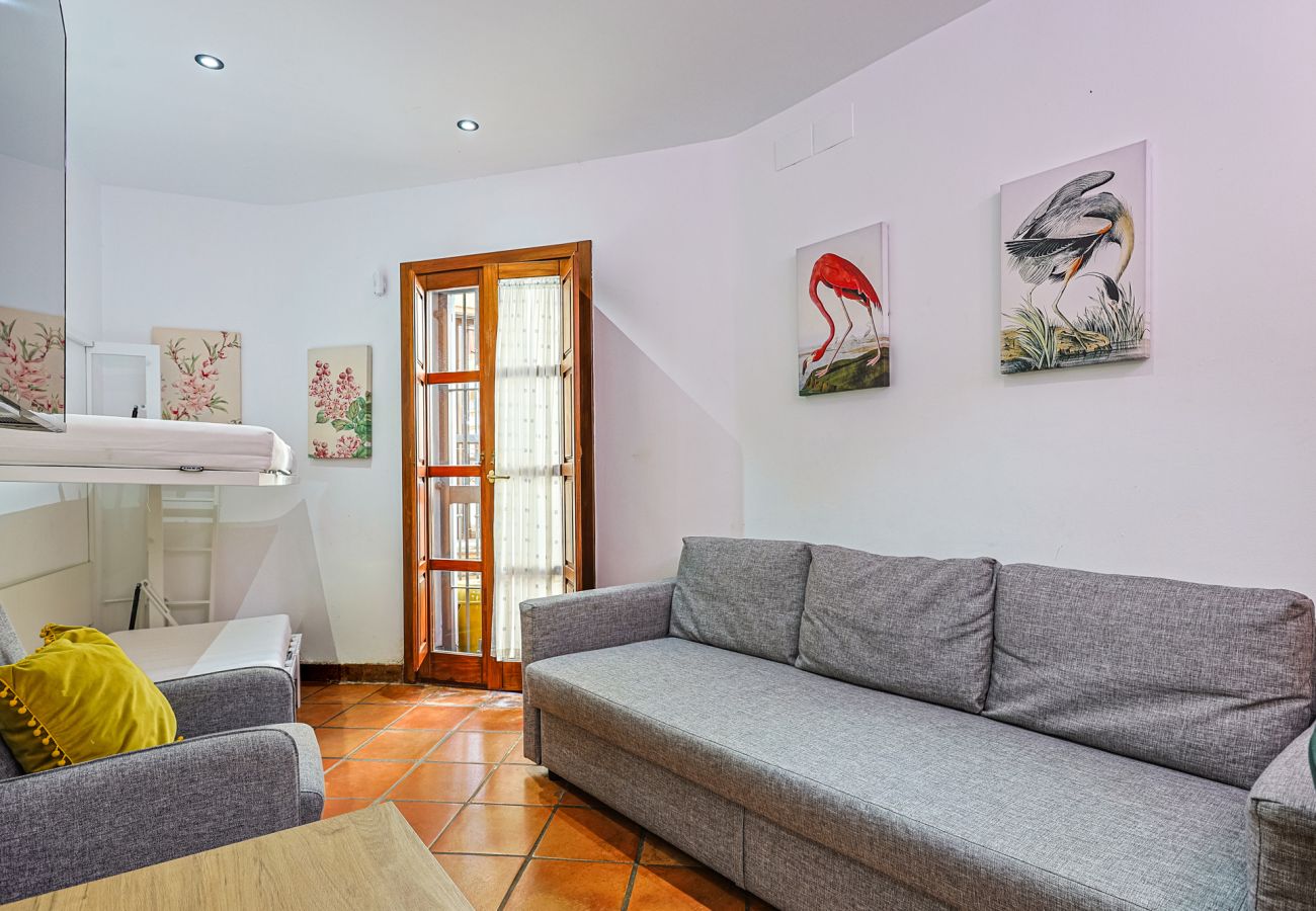 Apartment in Seville - Las Setas boutique - Vacacional Sevilla