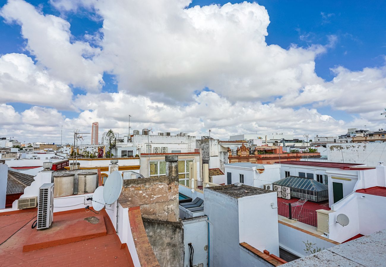 Apartment in Seville - Azofaifo