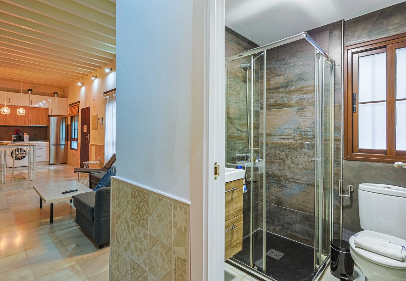 Apartment in Seville - Alfareria Triana - Vacacional sevilla
